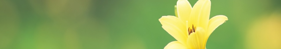 Web Title:環保老師的專用網頁